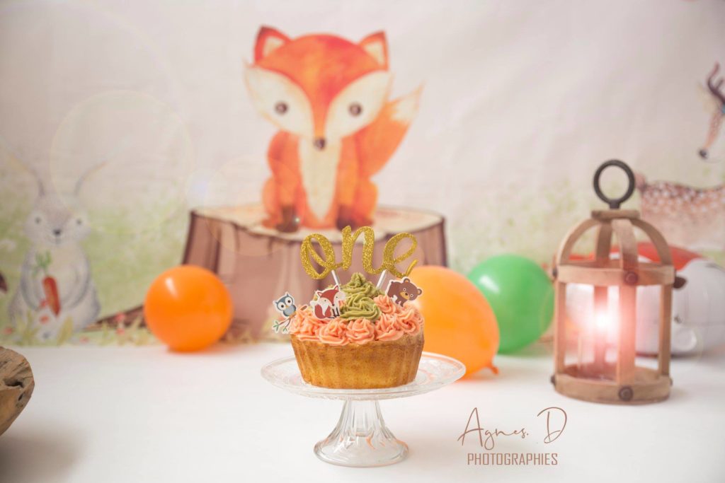 Séance photo smash the cakE CAPBRETON