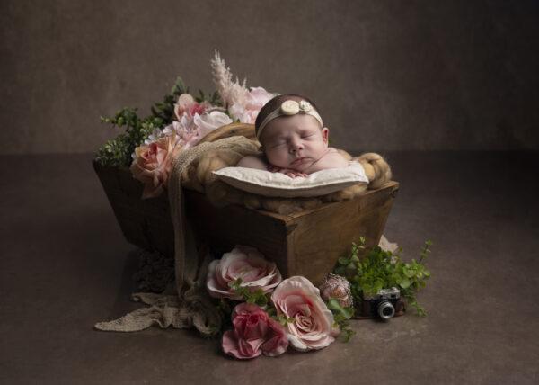 PHOTOGRAPHE NAISSANCE LANDES