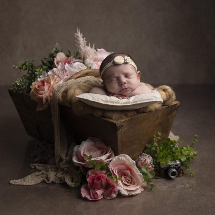 newborn posing landes