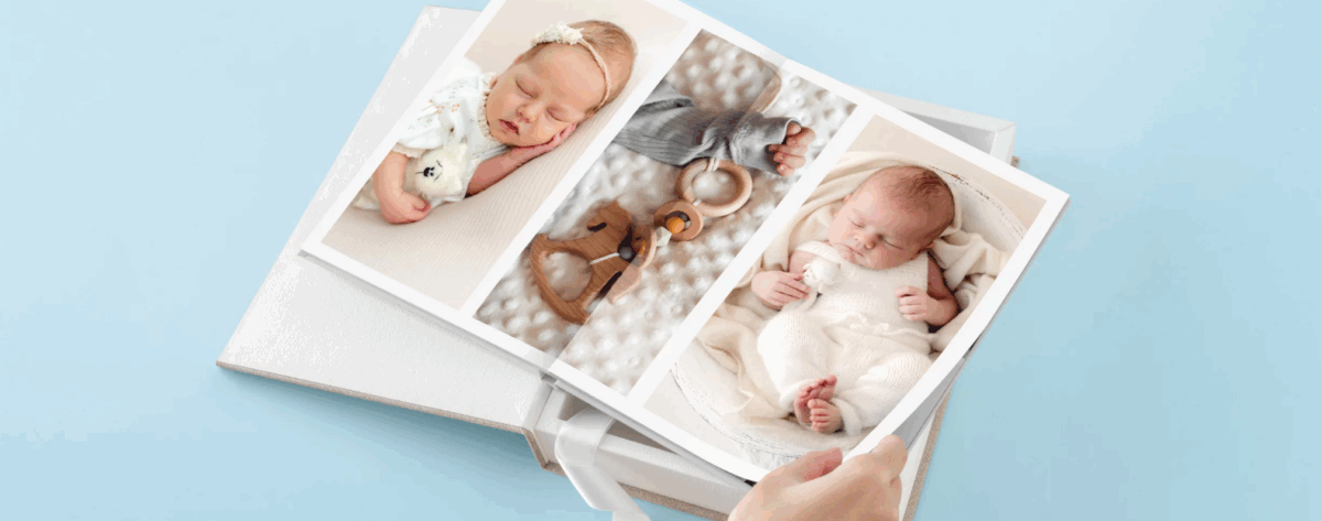 PHOTOGRAPHE LANDES ET PAYS BASQUE