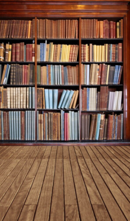 Agnes d photographies