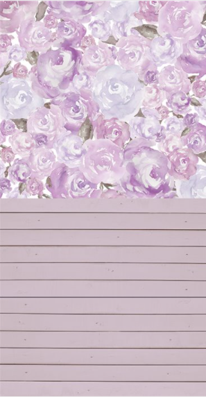 Agnes d photographies