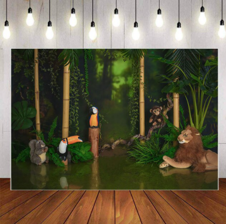 Agnes d photographies