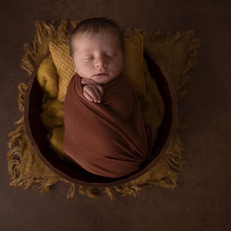 newborn posing landes