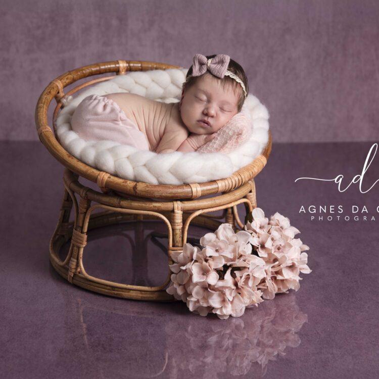 newborn posing landes