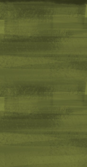 Agnes d photographies