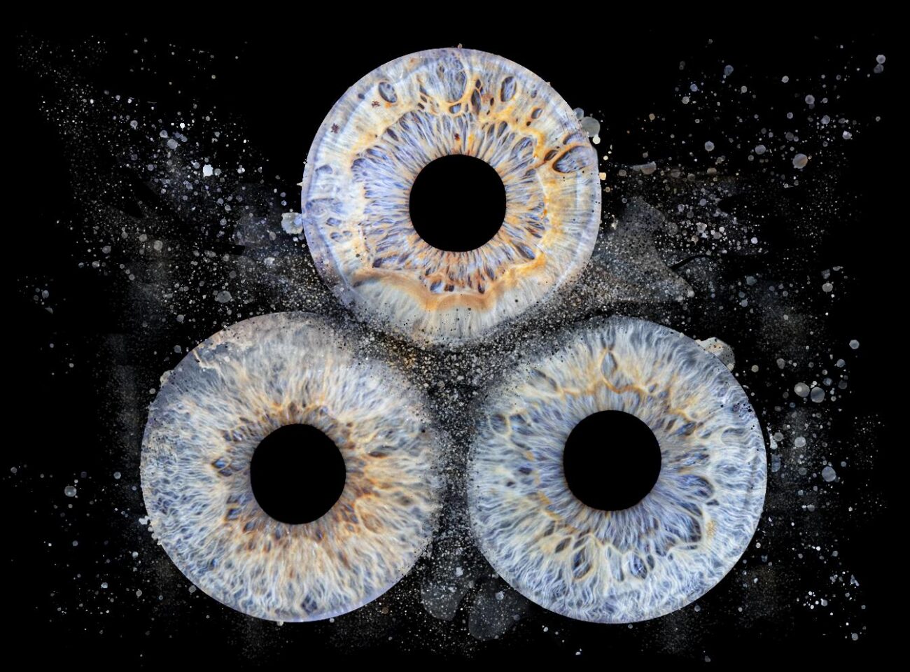 photographe iris landes