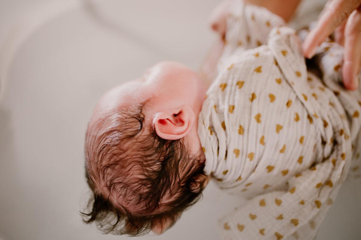 PHOTOGRAPHE LANDES ET PAYS BASQUE