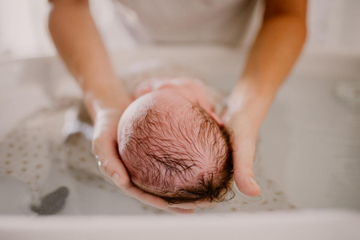 PHOTOGRAPHE LANDES ET PAYS BASQUE