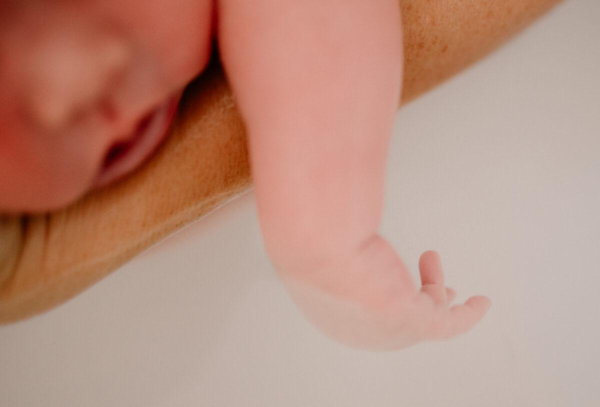 PHOTOGRAPHE LANDES ET PAYS BASQUE