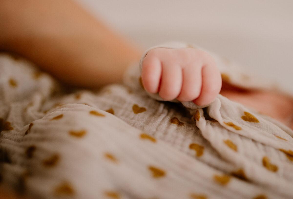 PHOTOGRAPHE LANDES ET PAYS BASQUE