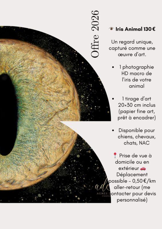 iris animal aquitaine