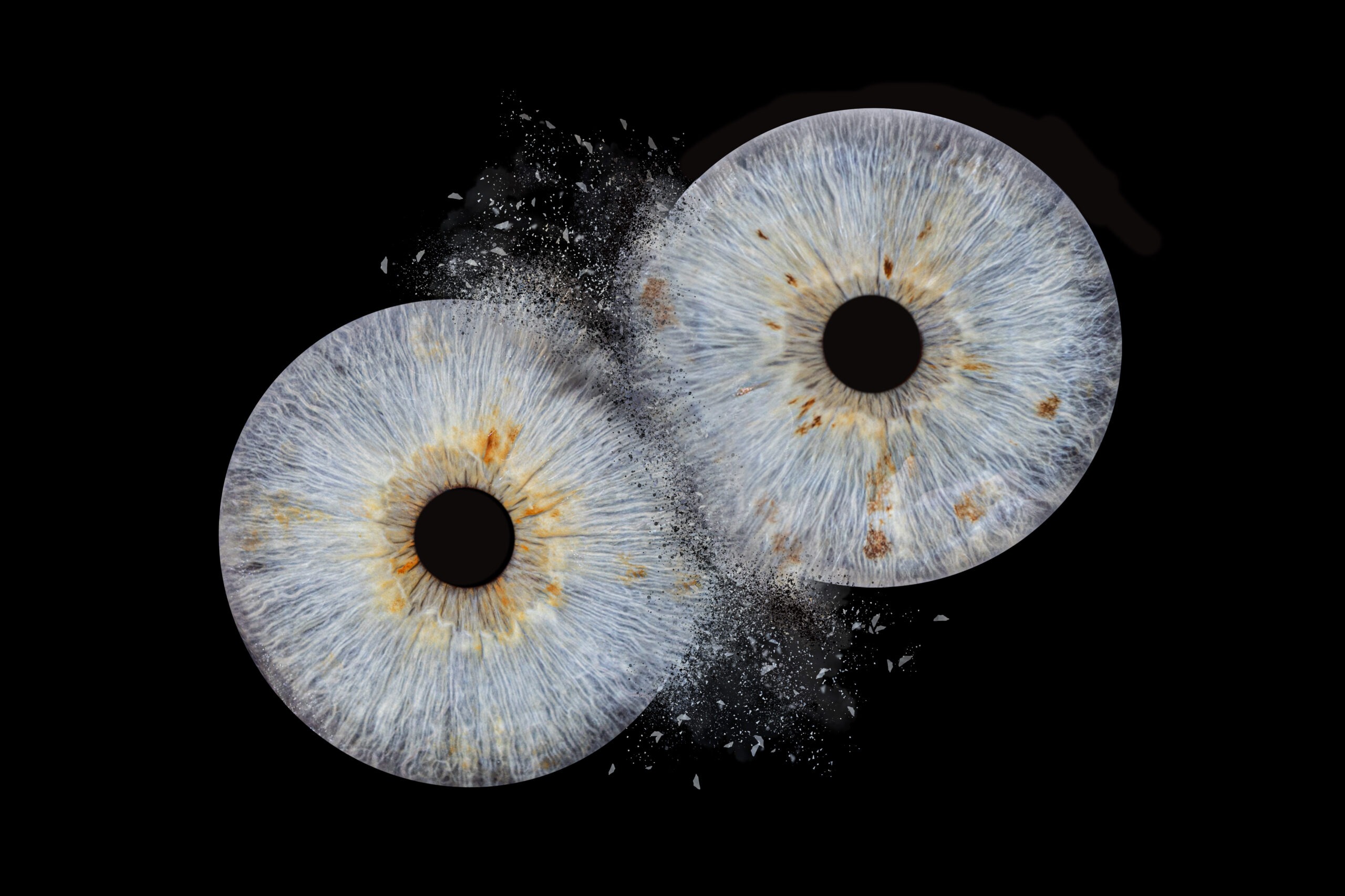 iris landes