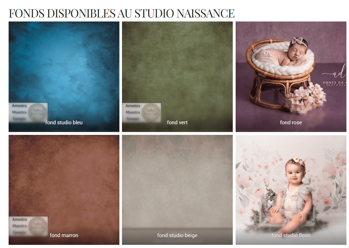 fond studio photo landes