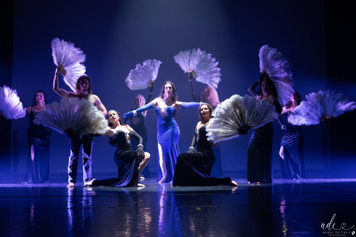 photographe spectacle danse landes